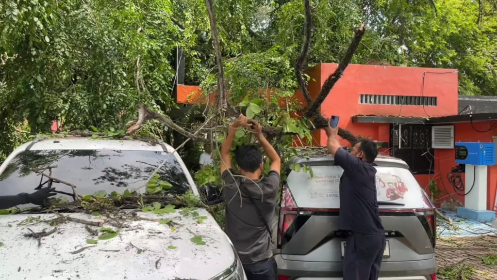 Angin Kencang Landa Kota Medan, Pohon Besar Tumbang Timpa Kantor Pos dan Dua Mobil