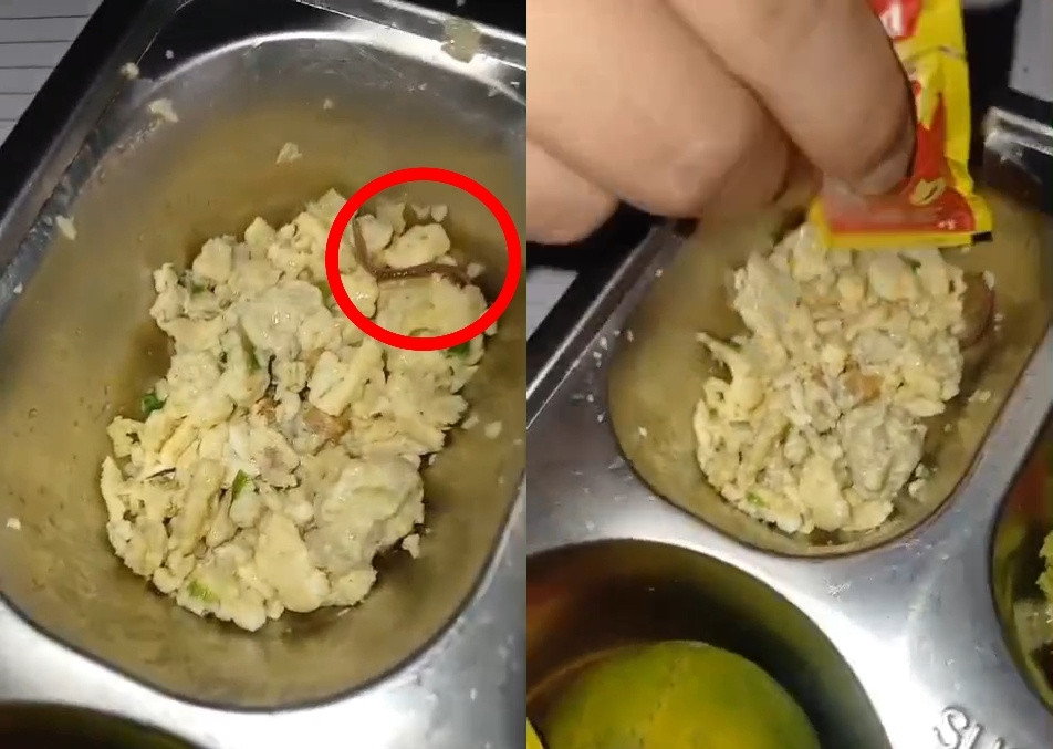 BGN Sumut Benarkan Ada yang Menggeliat di Menu MBG di SMA di Medan: Cacing Tanah
