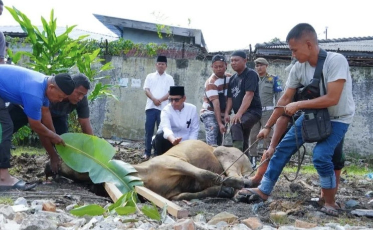 Saksikan Penyembelihan Kurban, Rico Waas Ingatkan Pengorbanan, Keikhlasan dan Berbagi Kebahagiaan