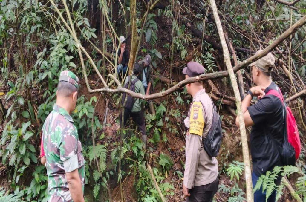 Jejak Kaki Harimau Ditemukan di Perladangan Warga